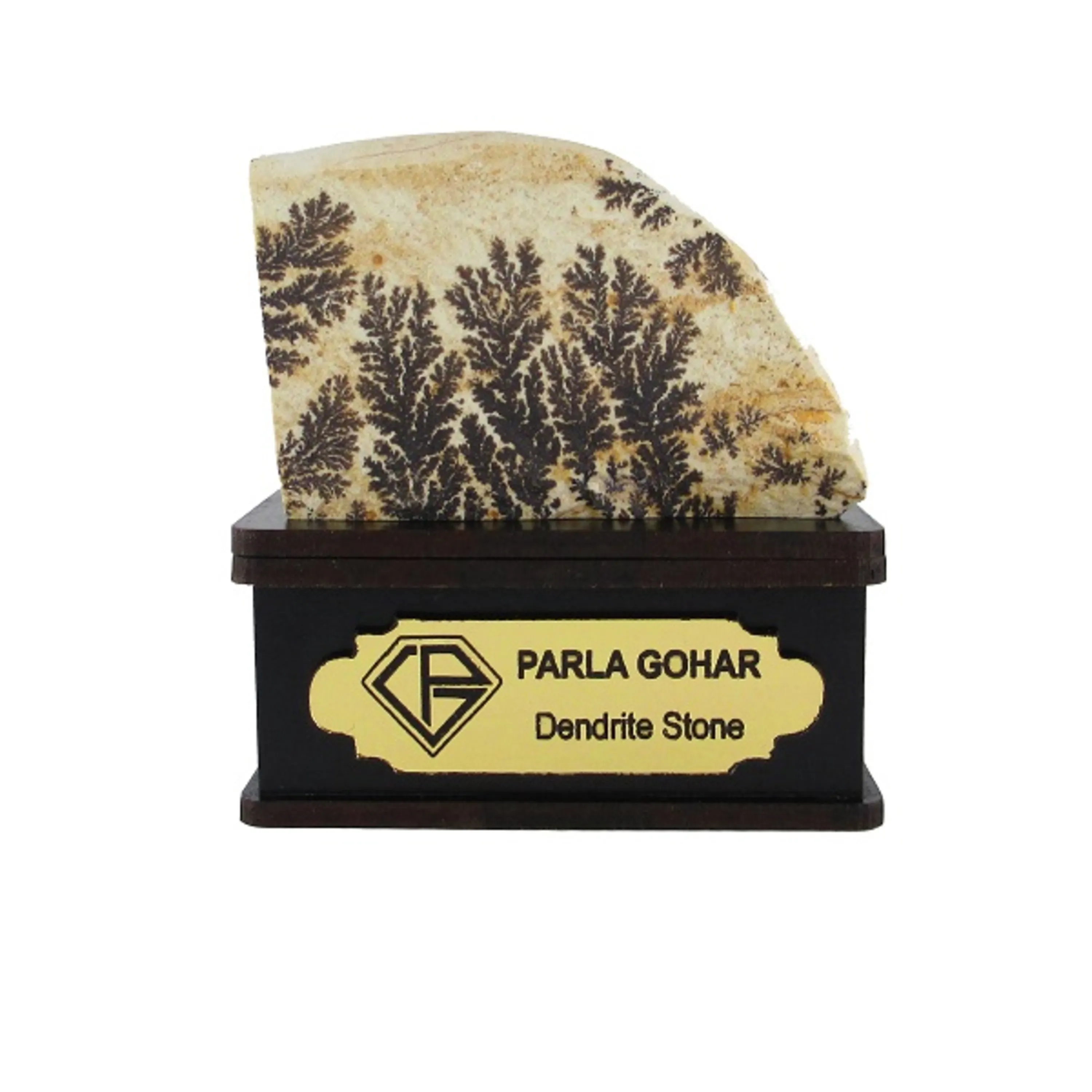 شجر راف کد 2343